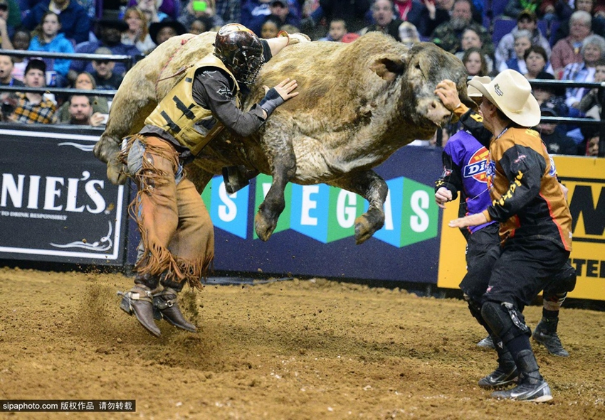 Monta de toros extrema: los profesionales también fracasan8