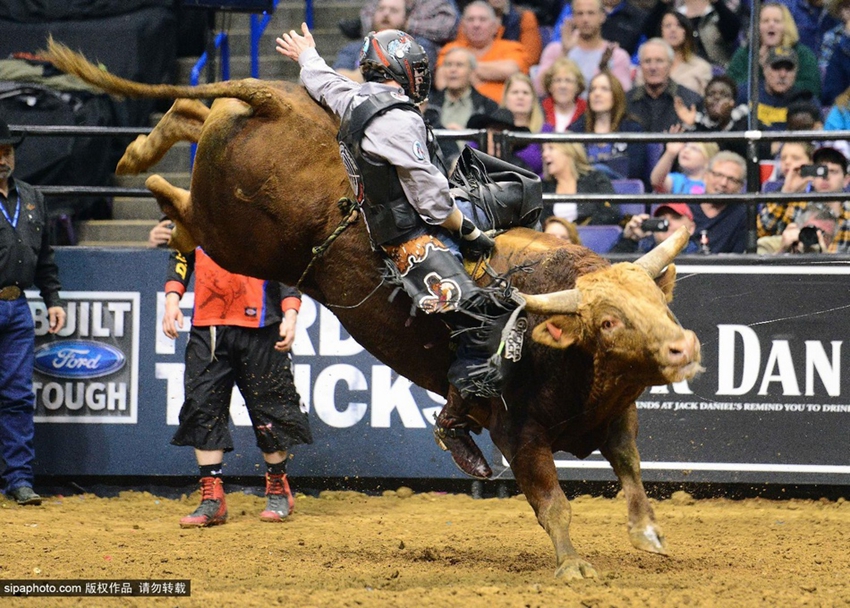 Monta de toros extrema: los profesionales también fracasan9