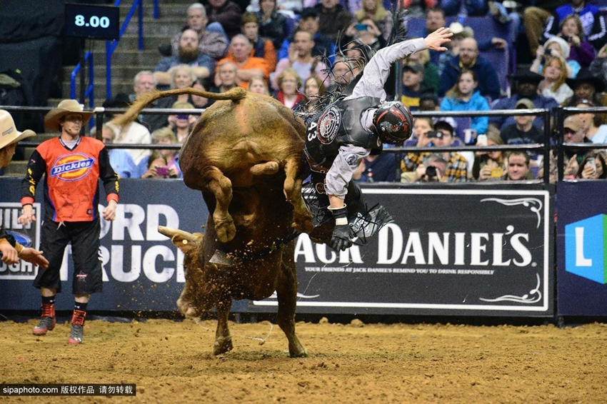 Monta de toros extrema: los profesionales también fracasan10