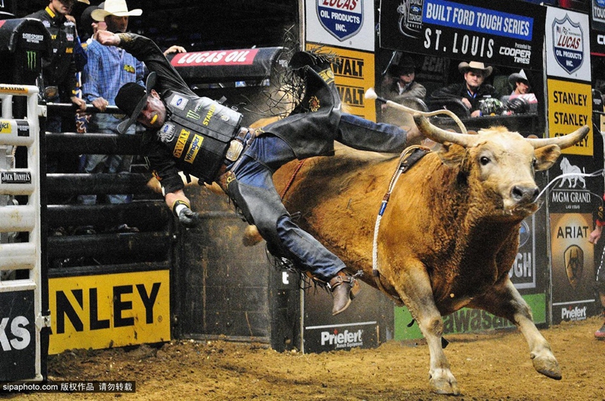 Monta de toros extrema: los profesionales también fracasan11