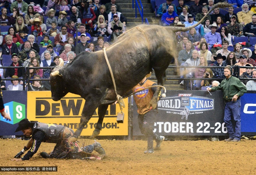 Monta de toros extrema: los profesionales también fracasan12