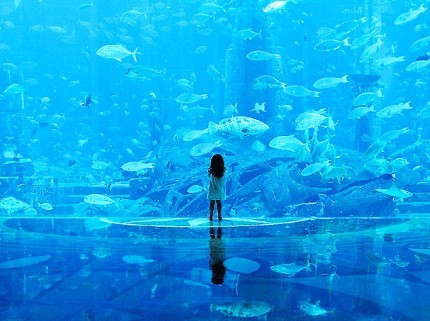 Los paisajes que revelan un mundo hermoso y misterioso 134