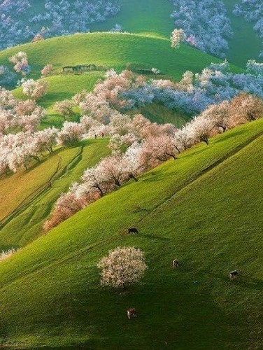 Los paisajes que revelan un mundo hermoso y misterioso 24