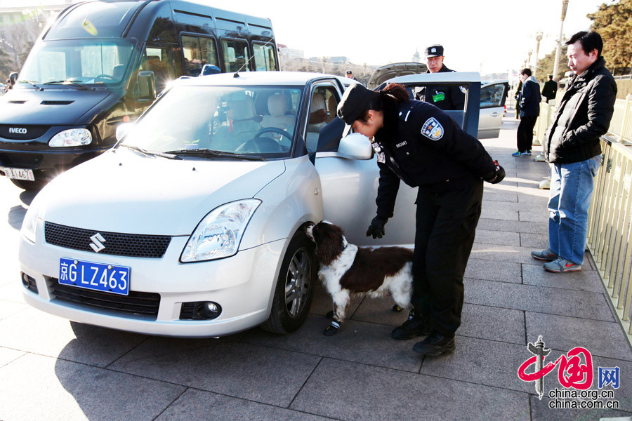 Perros anti explosivos trabajando para la seguridad de las sesiones