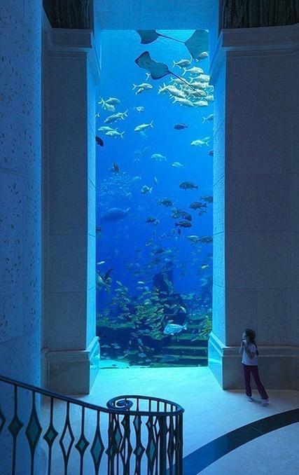 Los paisajes que revelan un mundo hermoso y misterioso 23