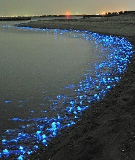 Los paisajes que revelan un mundo hermoso y misterioso 6