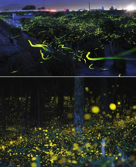 Los paisajes que revelan un mundo hermoso y misterioso 7
