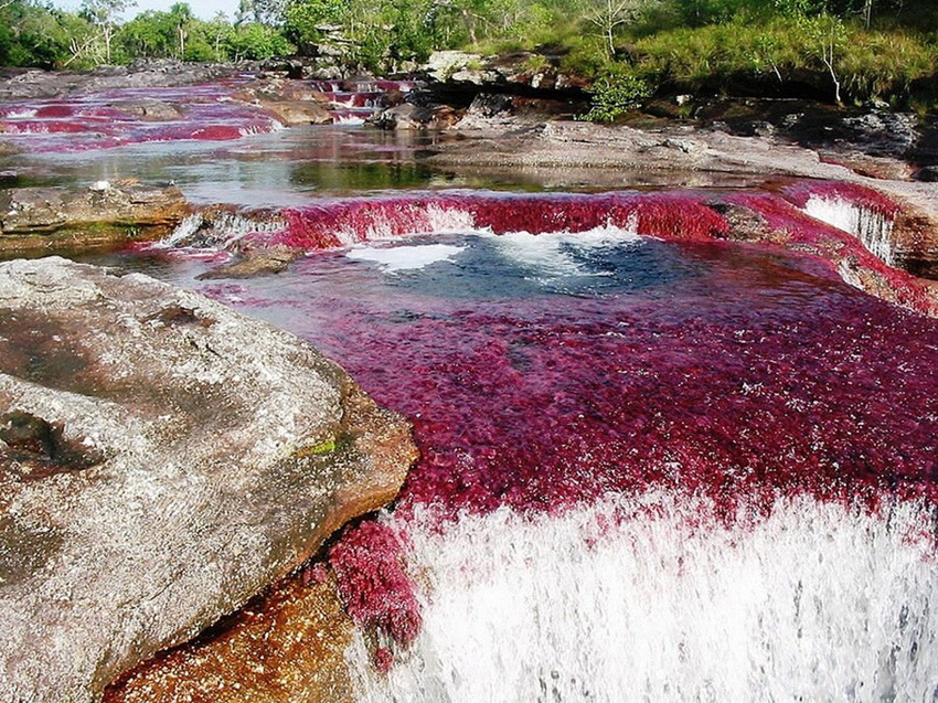 Cinturón de la Tierra: Top 10 ríos más hermosos del mundo10