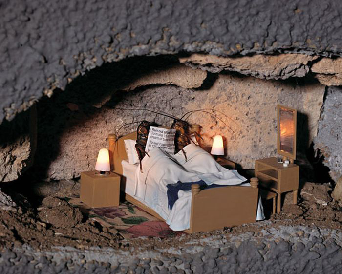 Publicidades llamativas y creativas2