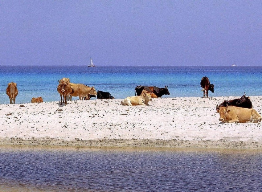 Playa de Isla Corsica