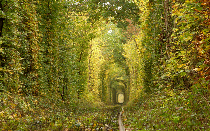 Naturaleza artística : TOP 10 túneles más hermosos del mundo 5
