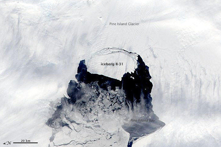 Científicos vigilan un iceberg gigante que se desprendió de la Antártida