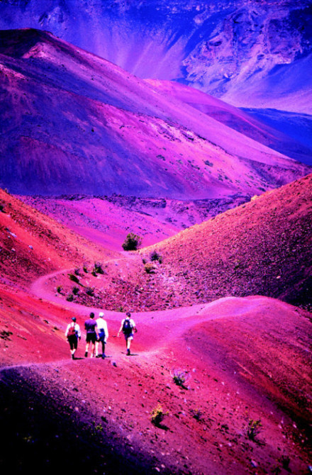 Los hermosos paisajes durante la vida 8