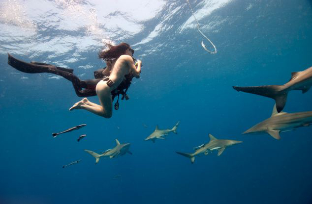 Sirena sudafricana Lesley Rochat nada desnuda con un tiburón