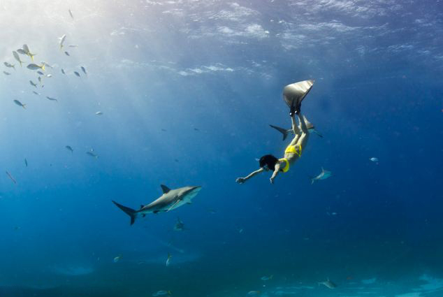 Sirena sudafricana Lesley Rochat nada desnuda con un tiburón