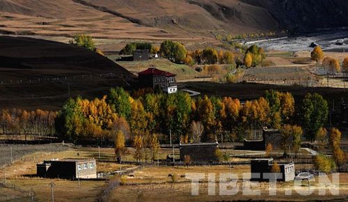 Paisaje otoñal en autopista Sichuan-Tíbet, turismo, China, 