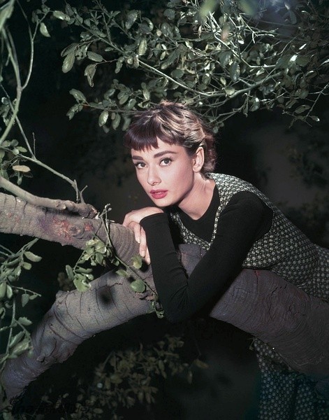 Fotos clásicas de la hermosa Audrey Hepburn21