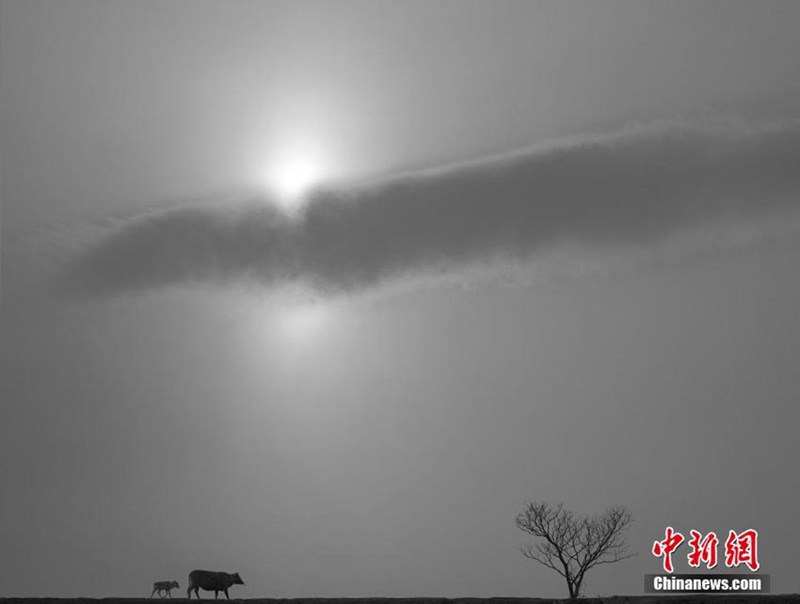 Las obras ganadoras del concurso fotográfico “la más hermosa tierra china”