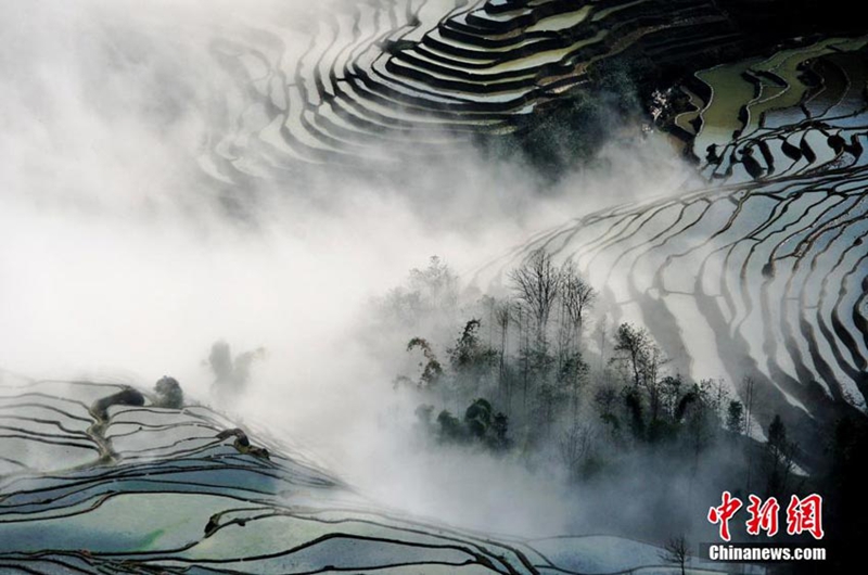 Las obras ganadoras del concurso fotográfico “la más hermosa tierra china”