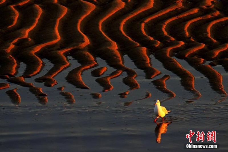 Las obras ganadoras del concurso fotográfico “la más hermosa tierra china”