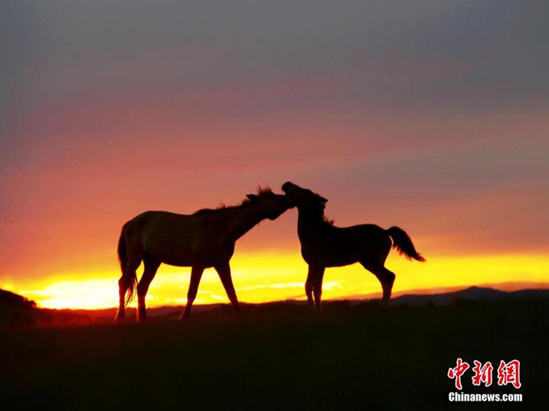 Las obras ganadoras del concurso fotográfico “la más hermosa tierra china”