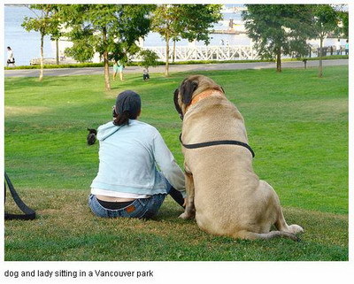 ¿Tu mascota es adorable? La mía es gigante