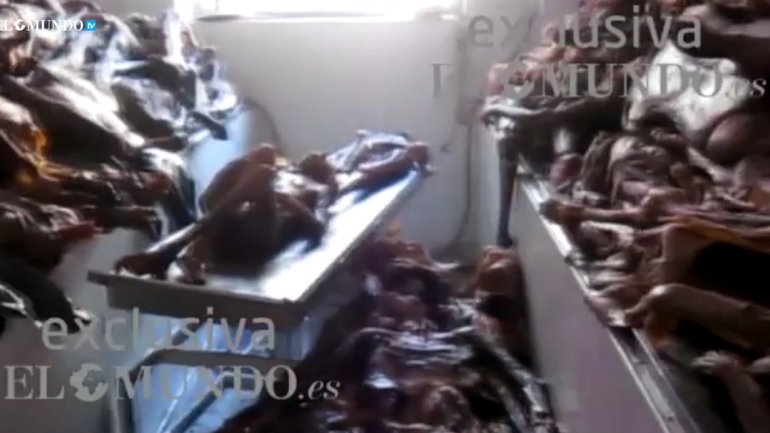 Complutense de Madrid tiene almacenados cientos de cadáveres a temperatura ambiente