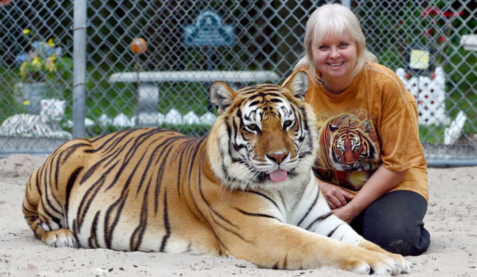 Mujer estadounidense tiene dos tigres en su jardín y duerme con ellos 