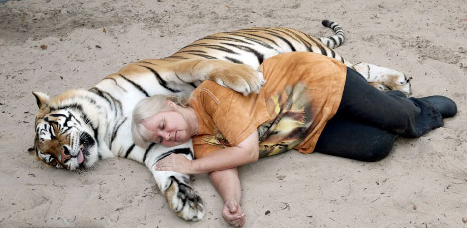 Mujer estadounidense tiene dos tigres en su jardín y duerme con ellos 