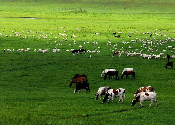 Las 10 praderas más hermosas de China 4