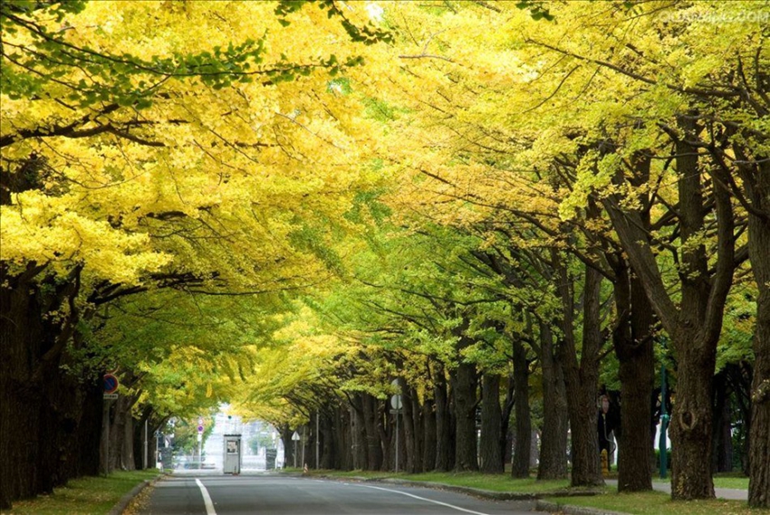 Bellos paisajes de las universidades famosas del mundo1