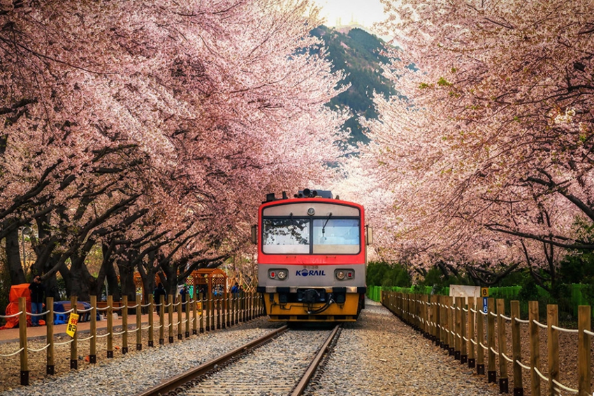 Viaja en tren y disfruta del romance5