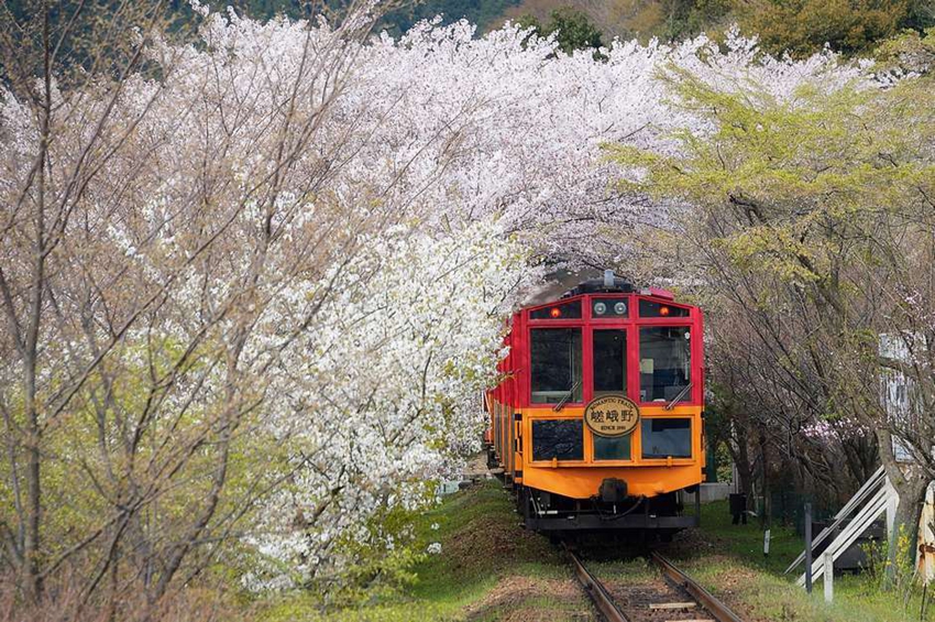 Viaja en tren y disfruta del romance11