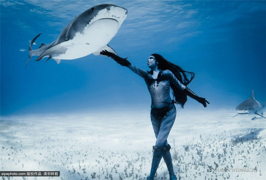 La sexy Hannah Fraser en bikini nada con tiburones