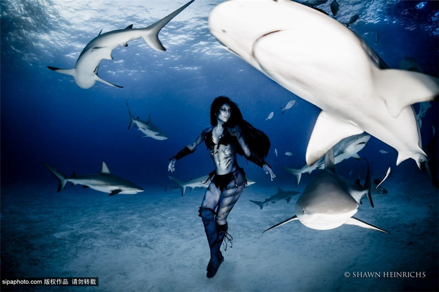 La sexy Hannah Fraser en bikini nada con tiburones