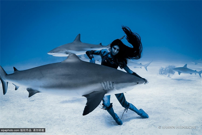 La sexy Hannah Fraser en bikini nada con tiburones