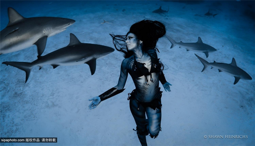 La sexy Hannah Fraser en bikini nada con tiburones