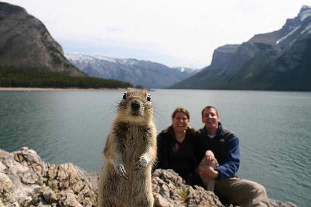 Las inesperadas apariciones de los animales en las fotos 4