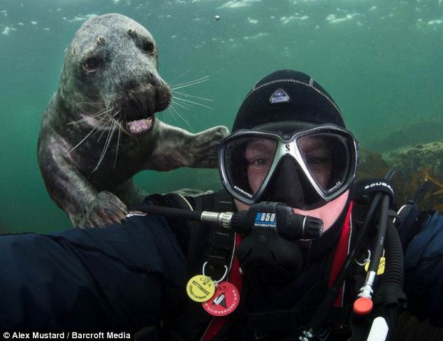 Las inesperadas apariciones de los animales en las fotos 15