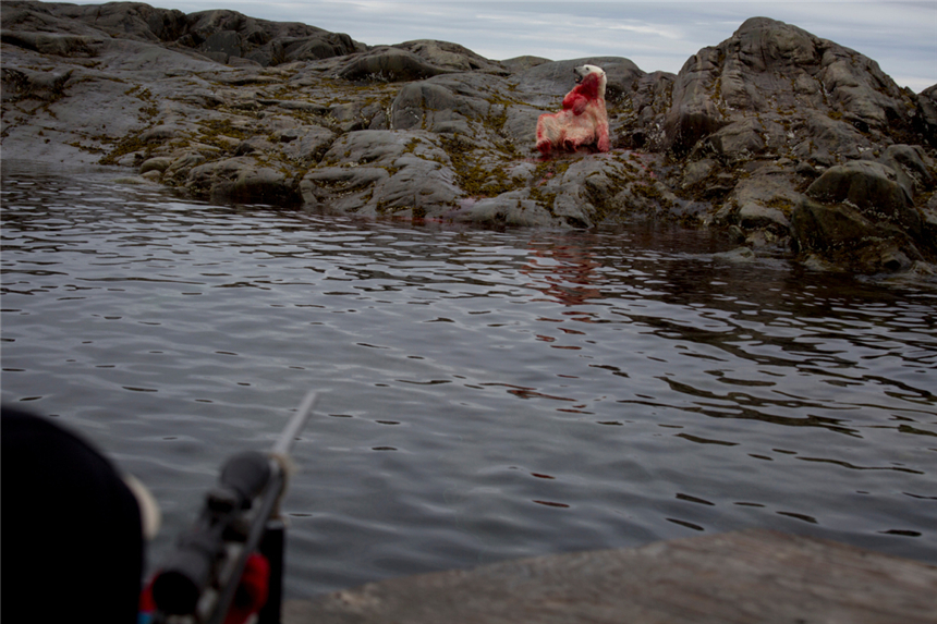 ¡Sangrienta y cruel! La caza de osos polares por los inuit