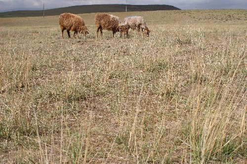 Sequía afecta a 890.000 personas en China