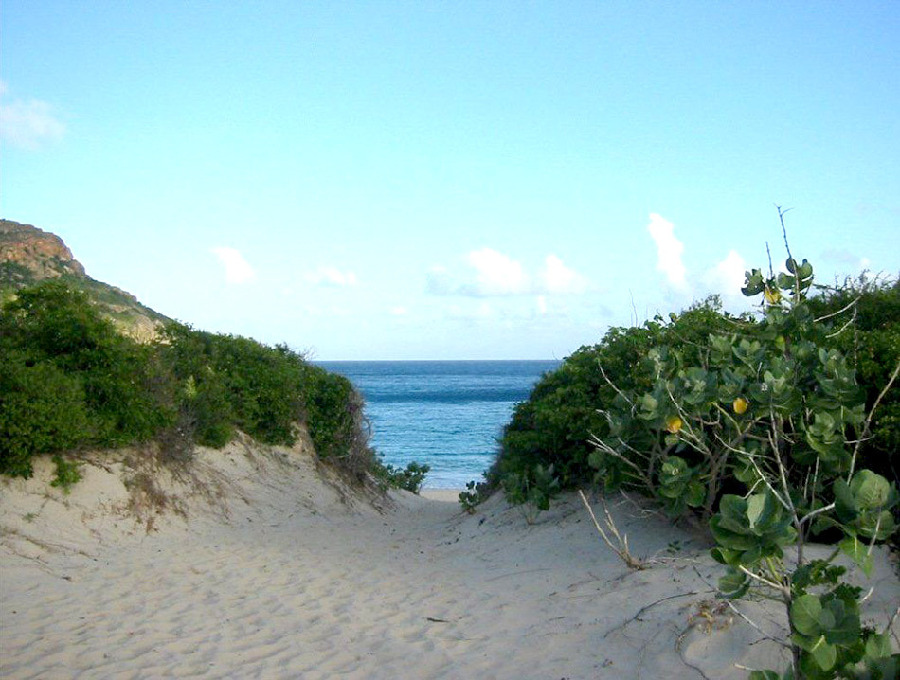 Playa Saline, Isla St. Barts Playa Saline, Isla St. Barts