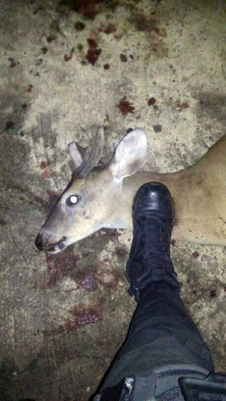 Policía usaba sus armas para matar animales y publicarlo en Facebook