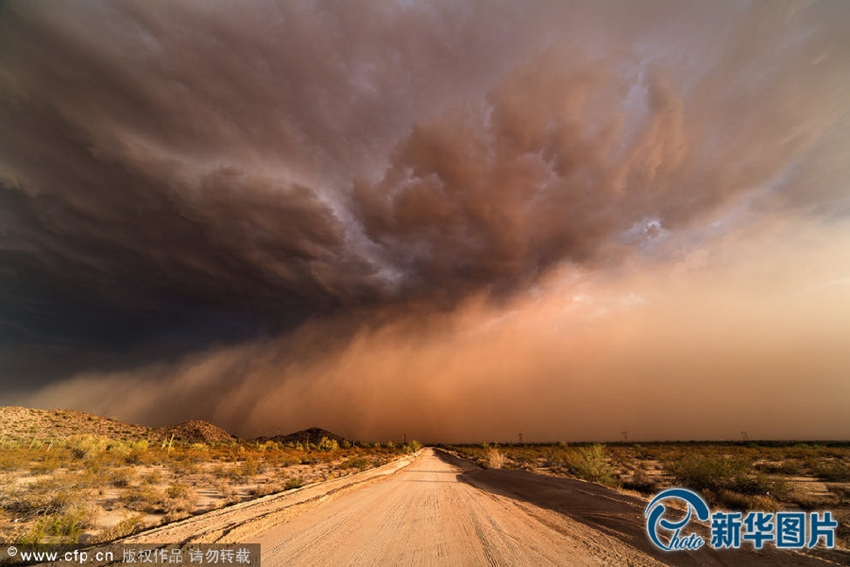 Impactante tormenta de arena azota Phoenix, Estados Unidos2