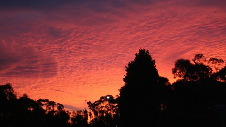 Un impresionante atardecer en Sidney