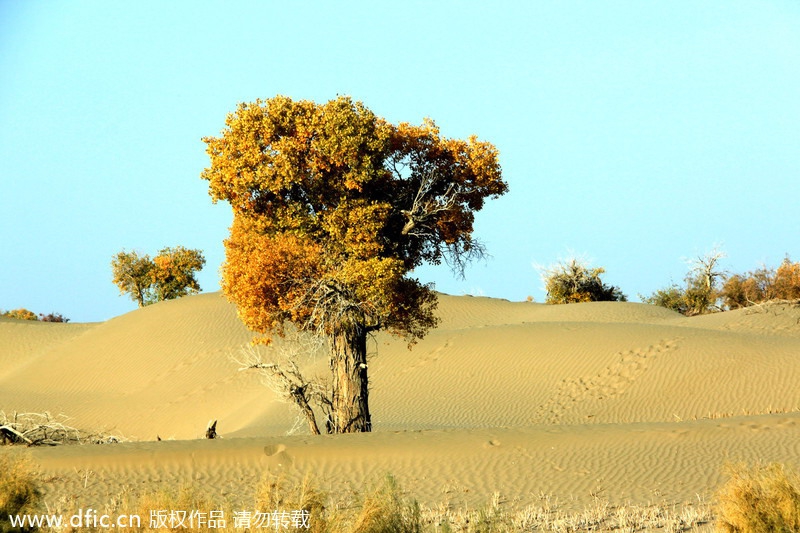 Las Diez Mejores Rutas Para Viajar Por Cerretera En Chinacn中国最权威的西班牙语新闻网站 6070