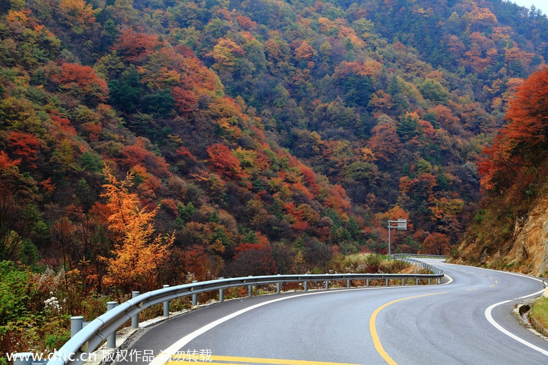 Las diez mejores rutas para viajar por cerretera en China