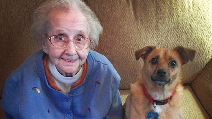 Fallece Betty, la 'abuela de Instagram'