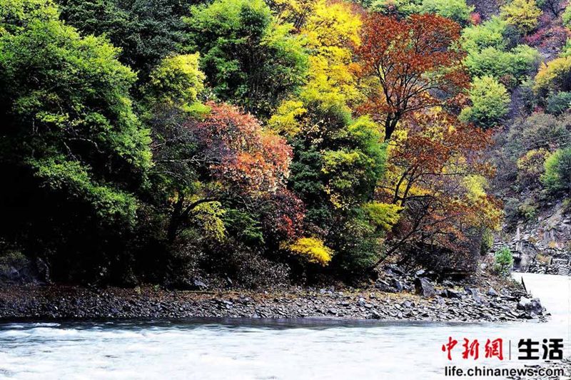 Los 10 mejores paisajes otoñales de China