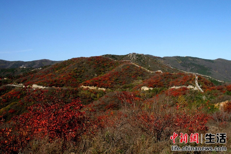 Los 10 mejores paisajes otoñales de China